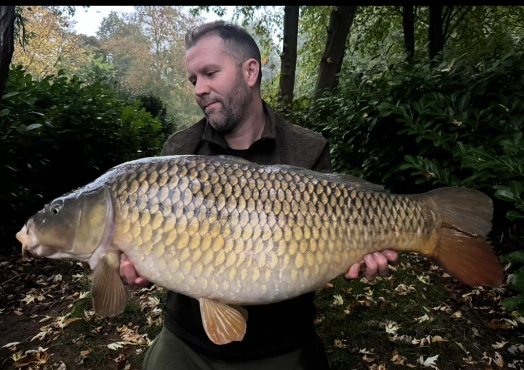 Mr | Total Carp
